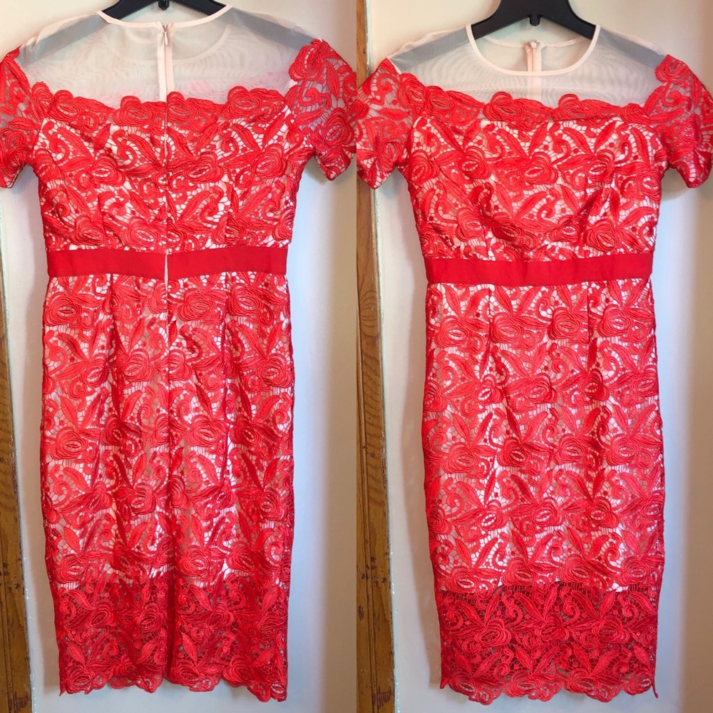 JAX Zinnia Orange Cream Illusion Lace‎ Shea…